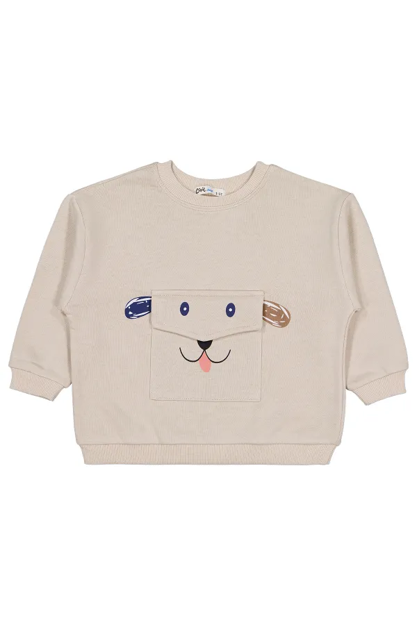 Erkek Çocuk Sweatshirt 2-5 Yaş Taş Rengi - Paket