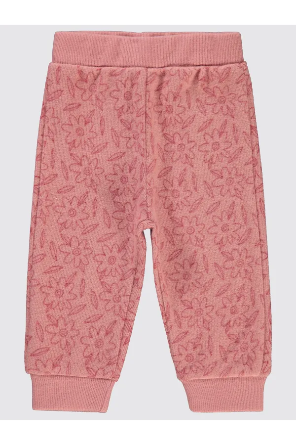 Baby Sweatpants 0-24 Months Powder - Pack