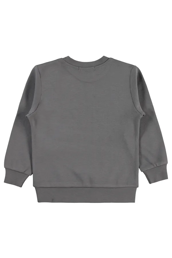 Erkek Çocuk Sweatshirt Km 2-5 Yaş Gri - Paket