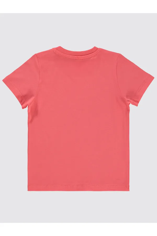 Erkek Çocuk Tişört 2-5 Yaş Yavruagzı - Paket