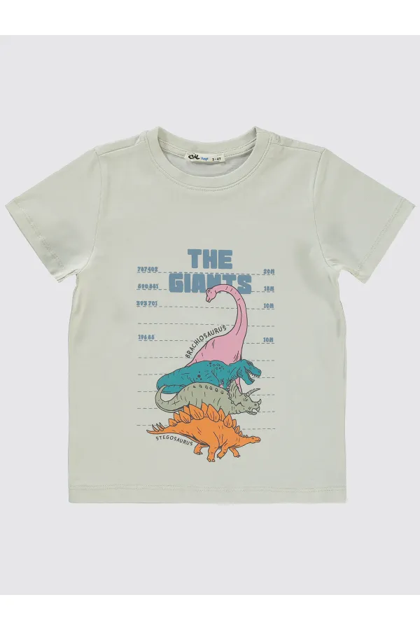 Boys T-Shirt 2-5 Years Old Light Gray - Pack