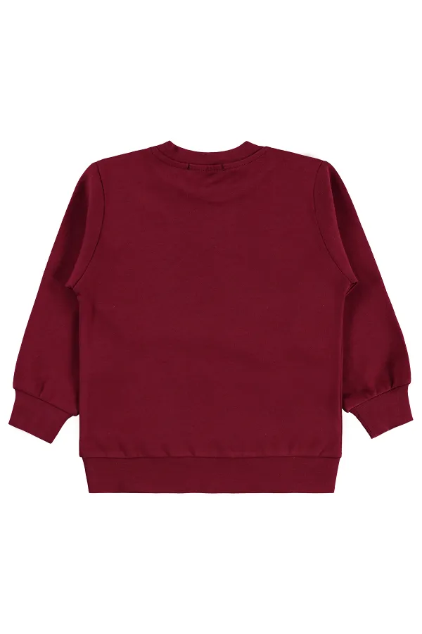 Erkek Çocuk Sweatshirt Km 2-5 Yaş Bordo - Paket