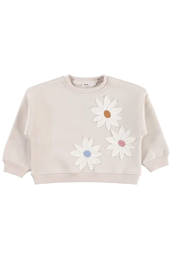 Kız Çocuk Sweatshirt 2-5 Yaş Taş Rengi - Paket