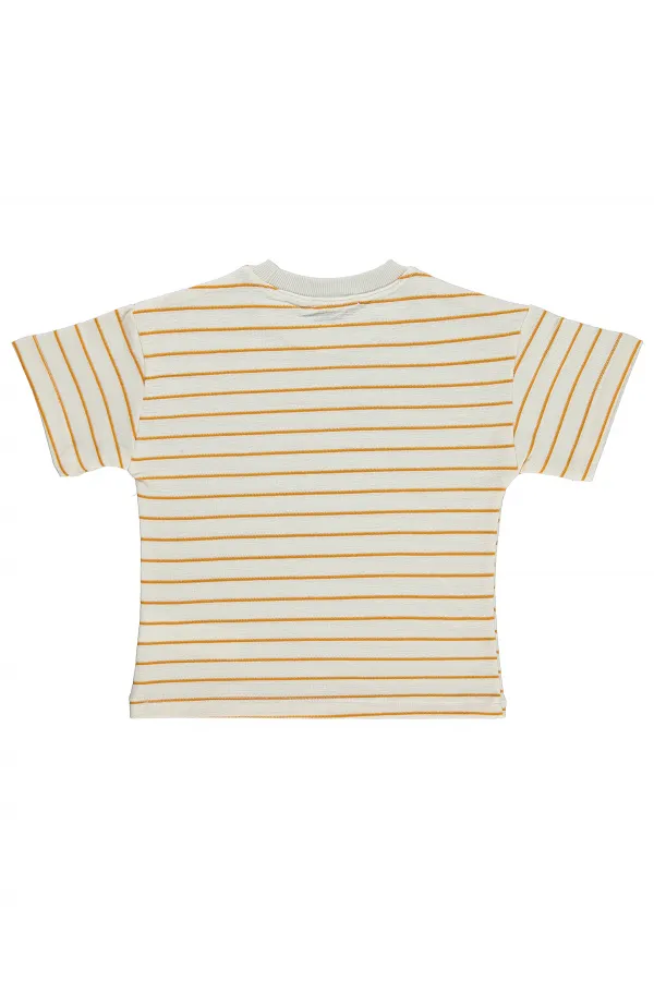 Erkek Çocuk Tişört 2-5 Yaş Oranj - Paket