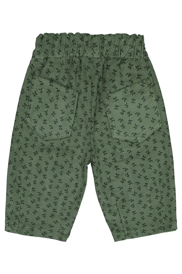 Culottes bébé 0-24 mois kaki - Lot