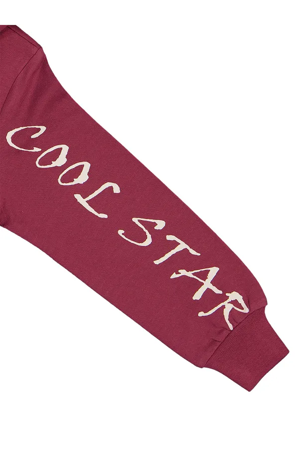 Boy Sweatshirt 2-5 Years Old Burgundy - Package