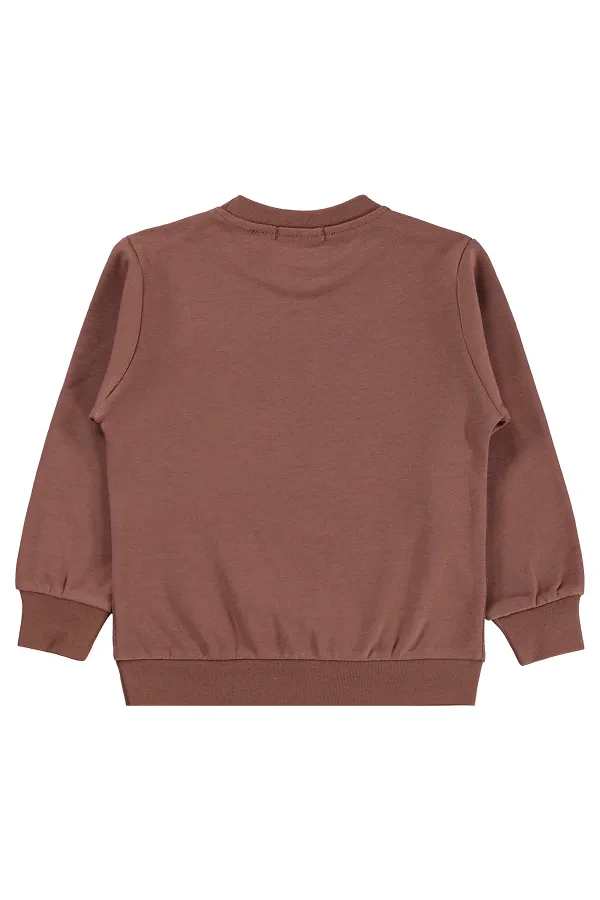 Boys' Sweatshirt Km 2-5 Years Light Brown - Package