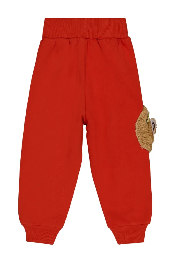 Bas de survêtement garçon 2-5 ans - Lot de 1