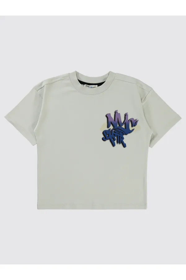 Boys T-Shirt 10-13 Years Old Light Gray - Package