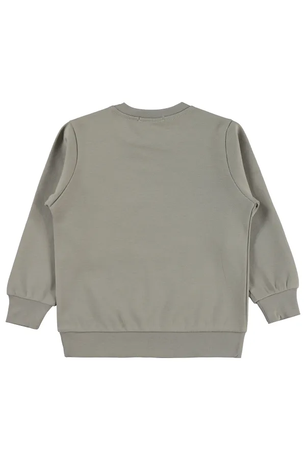 Erkek Çocuk Sweatshirt Km 2-5 Yaş Açık Gri - Paket