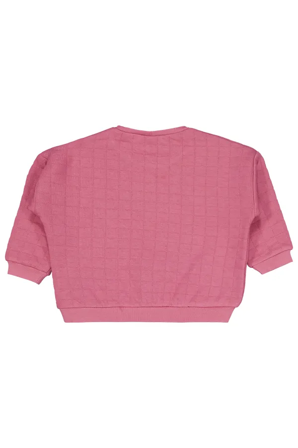 Sweat-shirt bébé 0-24 mois Rose poudré - Lot