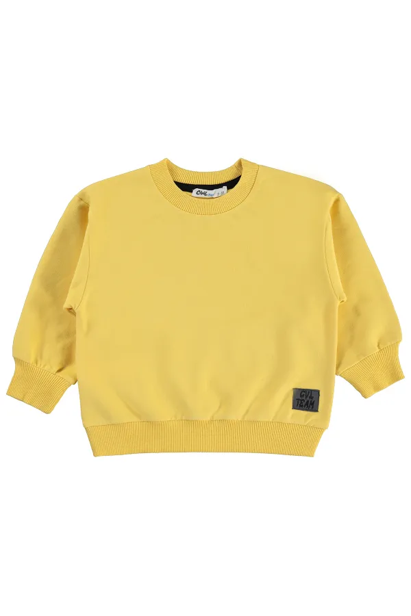 Boys' Sweatshirt, Ages 2-5, Mustard - Pack