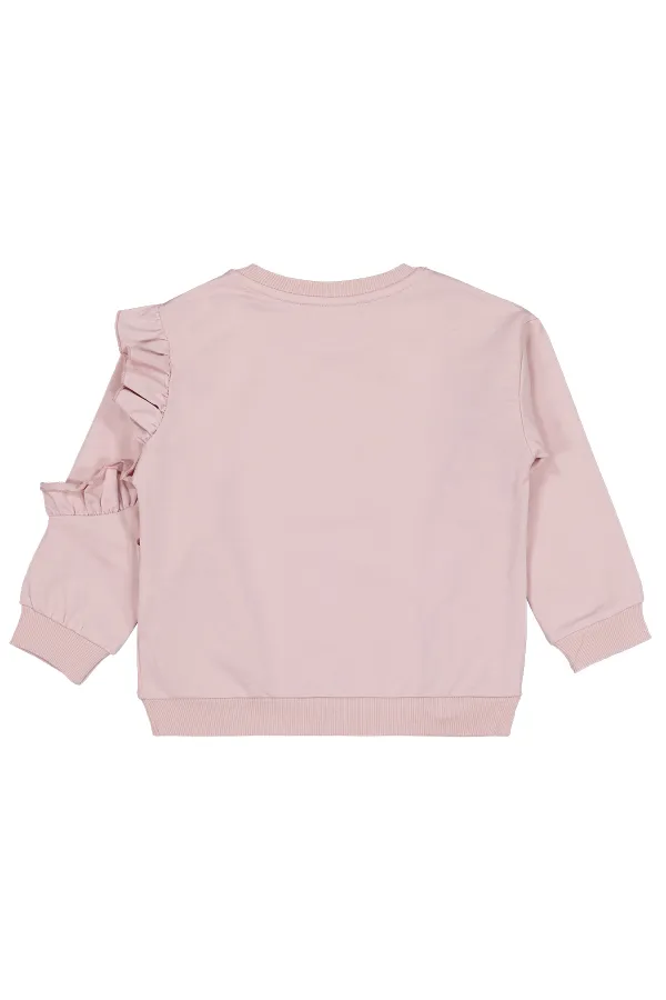 Kız Çocuk Sweatshirt 2-5 Yaş Açık Gül Kurusu - Paket