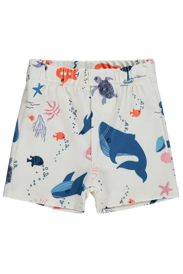 Baby Swimsuit 0-24 Months Stone Color - Pack