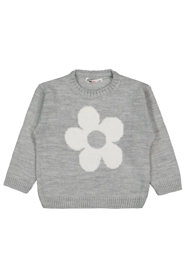 Pull pour fille de 2 à 5 ans Grimelanj - Emballage