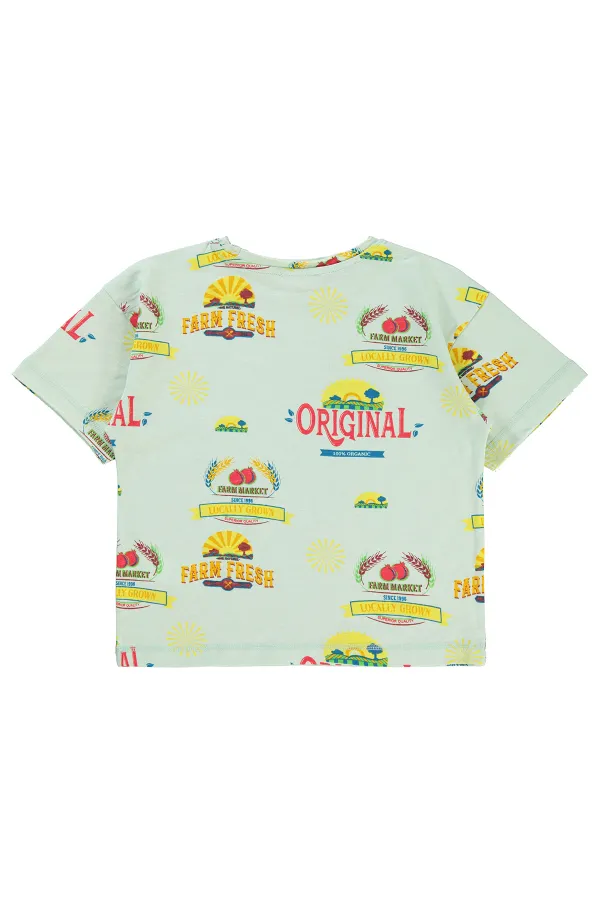 Boys T-Shirt Ages 6-9 Aqua Green - Pack