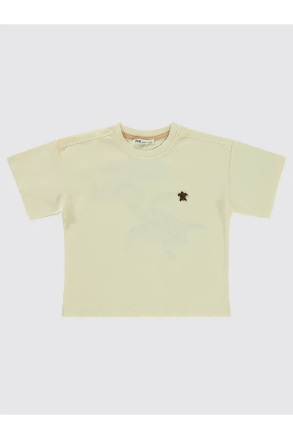 Erkek Çocuk Tişört 2-5 Yaş FilDişi - Paket