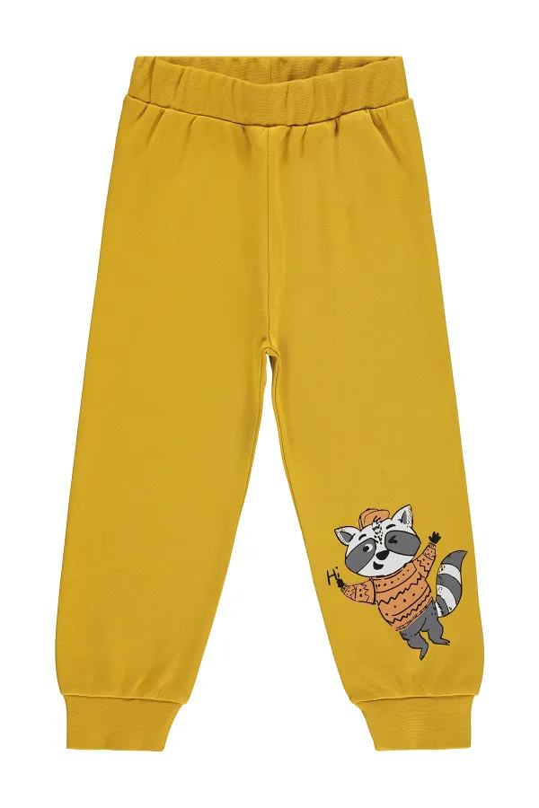 Boys' Sweatpants Km 2-5 Years Mustard - Pack