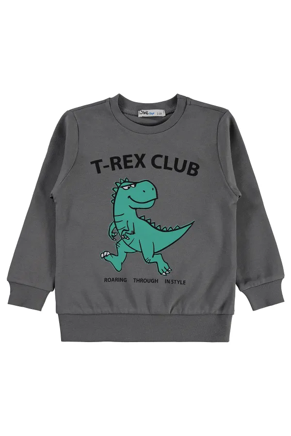 Erkek Çocuk Sweatshirt Km 2-5 Yaş Gri - Paket