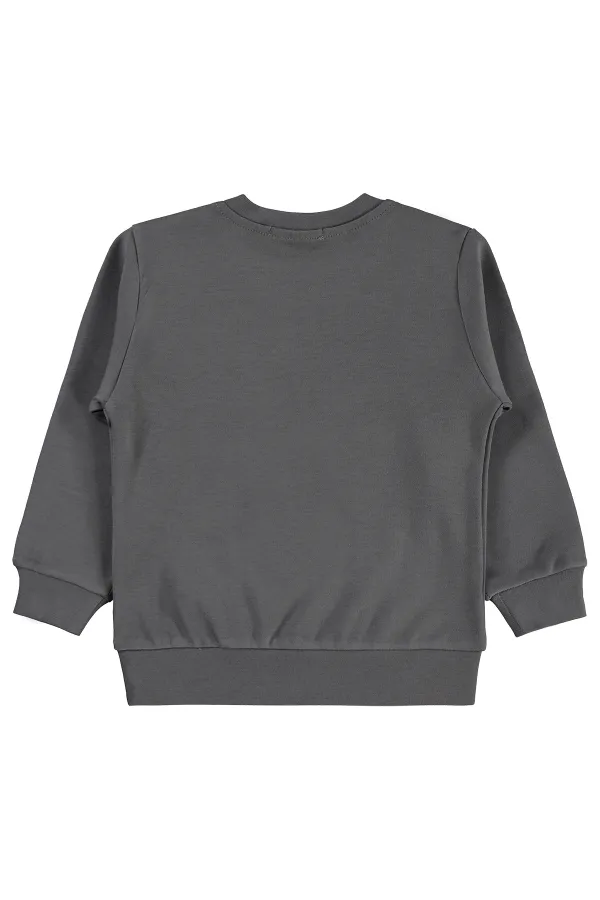 Erkek Çocuk Sweatshirt Km 2-5 Yaş Gri - Paket