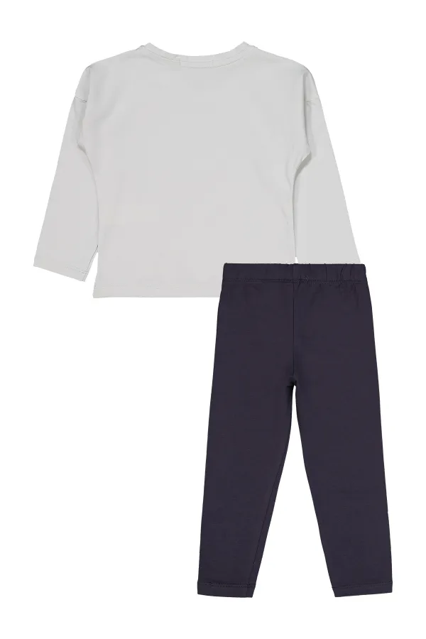 Girls' Set 2-5 Years Old Gray - Package