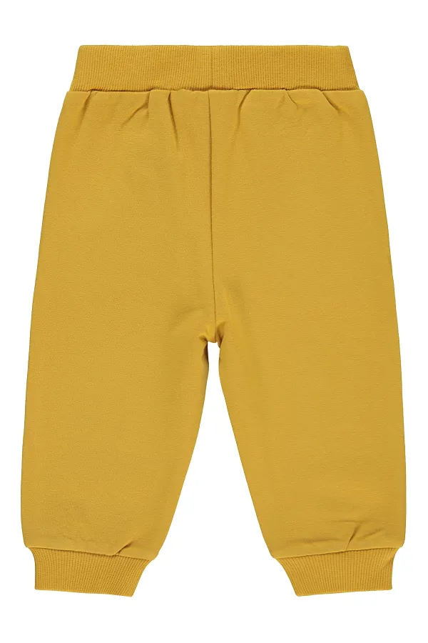 Baby Sweatpants 0-24 Months Mustard - Pack