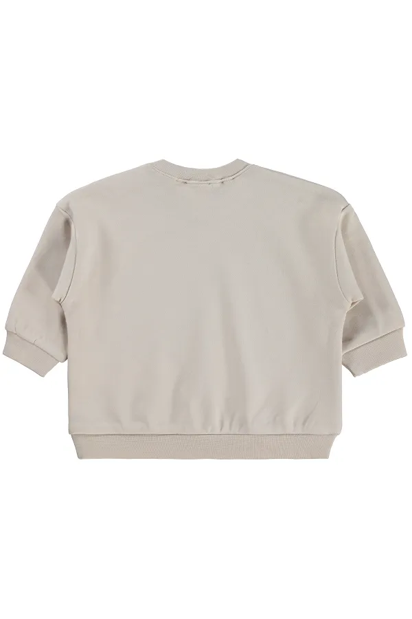 Sweat-shirt bébé 0-24 mois couleur pierre - Emballage