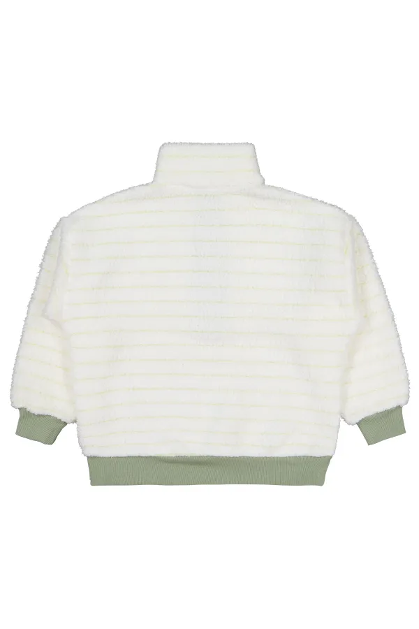 Erkek Çocuk Sweatshirt 6-9 Yaş Yeşil - Paket