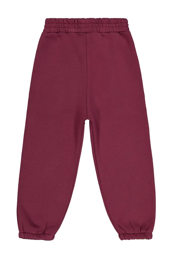 Bas de survêtement garçon 6-9 ans bordeaux - Lot