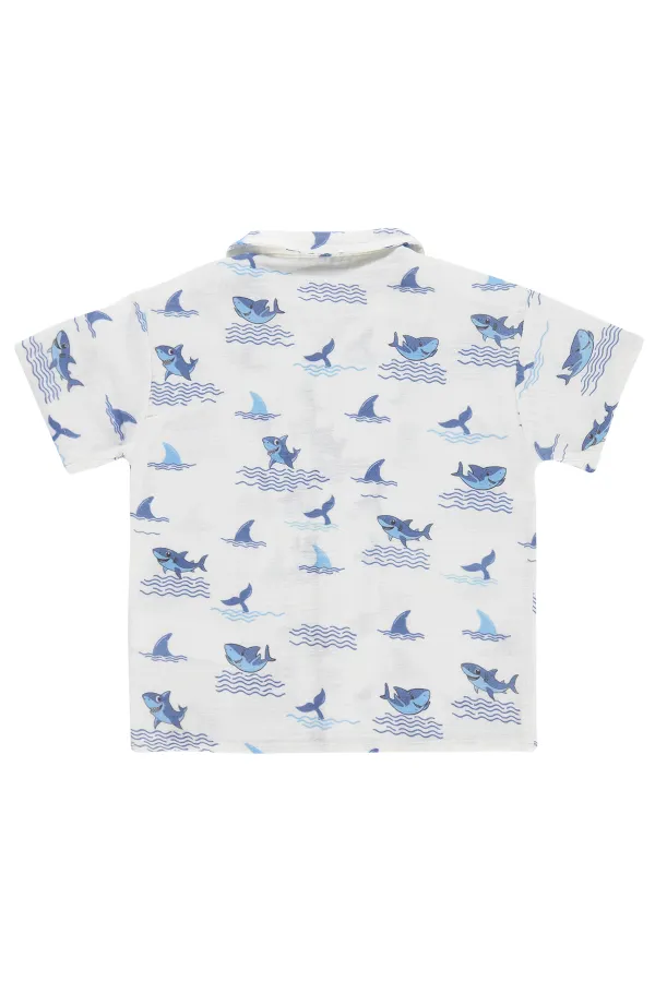 Boys' Shirt, Ages 2-5, White - Package