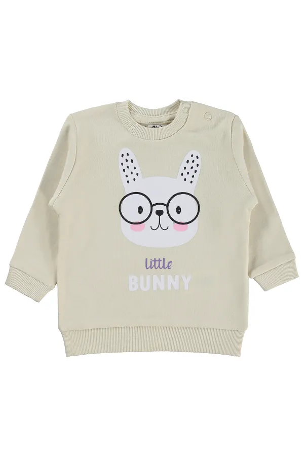 Bebek Sweatshirt 0-24 Ay FilDişi - Paket