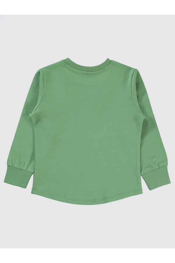 Erkek Çocuk Sweatshirt 2-5 Yaş Açık Haki - Paket