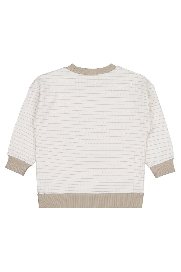 Boy Sweatshirt 2-5 Years Mink - Package