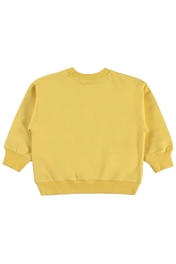 Boys' Sweatshirt, Ages 2-5, Mustard - Pack