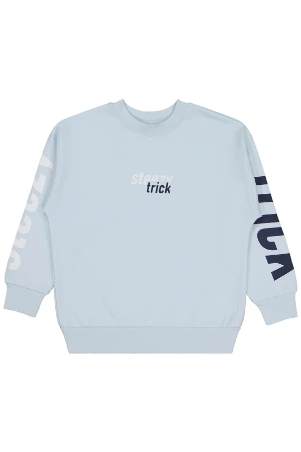 Erkek Çocuk Sweatshirt 6-9 Yaş Açık Mavi - Paket