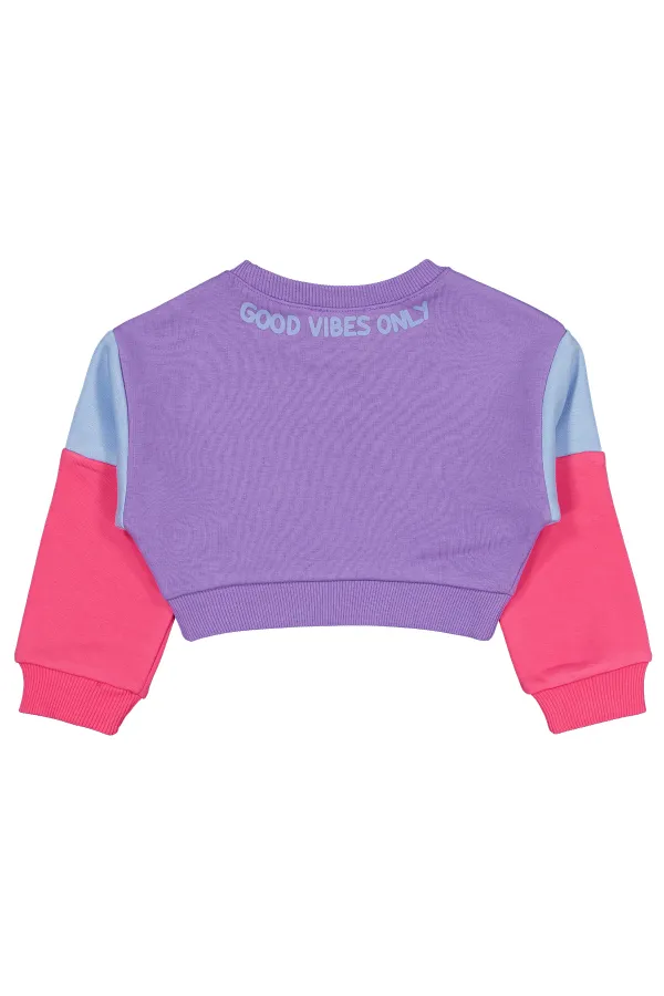 Kız Çocuk Sweatshirt 2-5 Yaş Mor - Paket