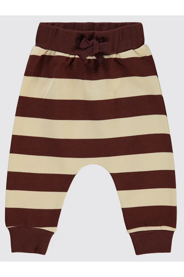 Baby Sweatpants 0-24 Months Chocolate Brown - Pack