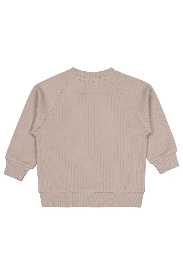 Boy Sweatshirt 2-5 Years Mink - Package