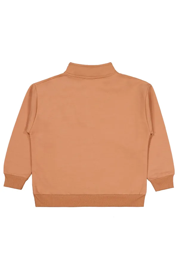 Erkek Çocuk Sweatshirt 10-13 Yaş Tarçın - Paket