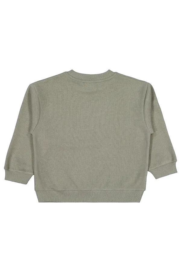 Sweat-shirt garçon 2-5 ans kaki clair - Emballage Sweat-shirt garçon 2-5 ans kaki clair - Emballage