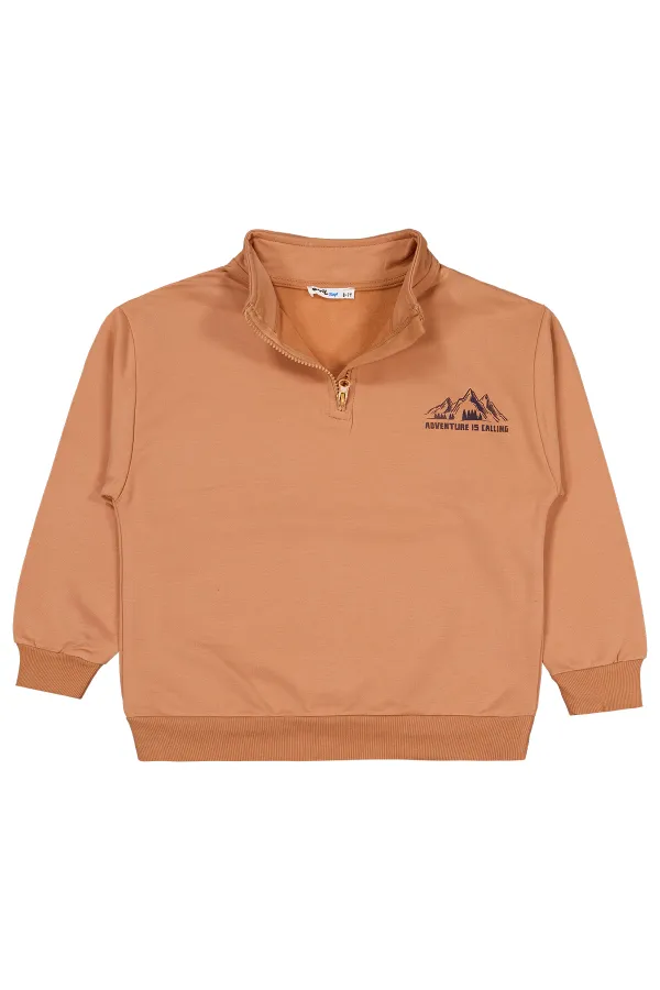 Erkek Çocuk Sweatshirt 6-9 Yaş Tarçın - Paket
