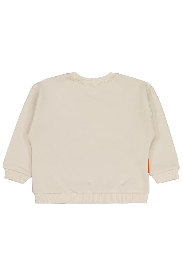 Erkek Çocuk Sweatshirt 2-5 Yaş Taş Rengi - Paket