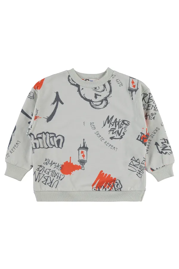 Boy Sweatshirt 2-5 Years Old Light Gray - Package