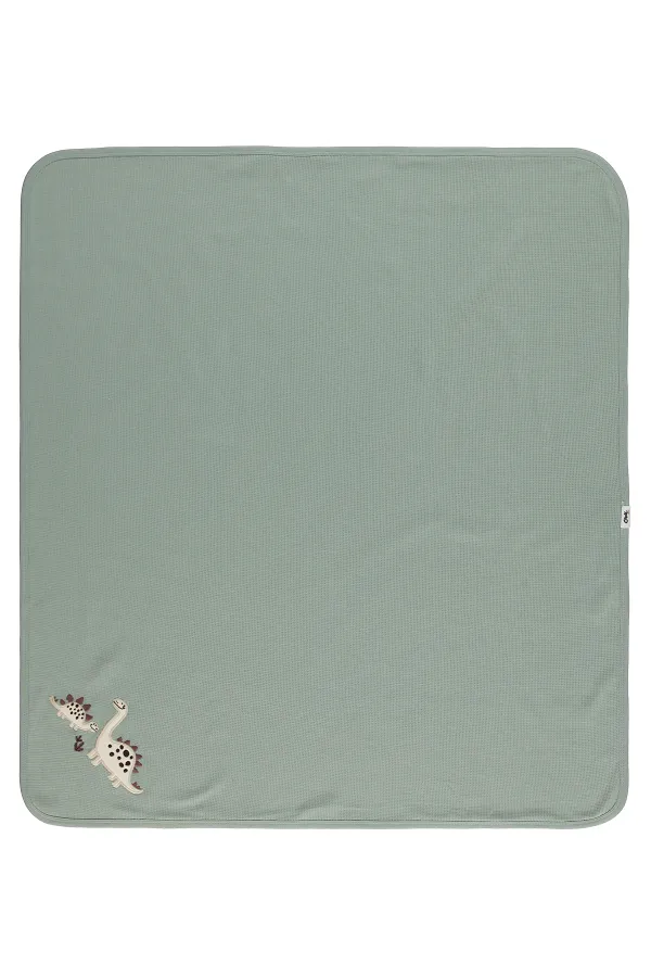 Bebek Battaniye ve Kundak 0-24 Ay Çağla Yeşili - Paket