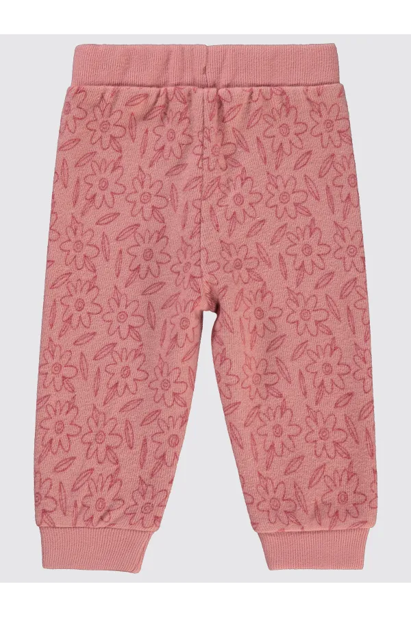 Baby Sweatpants 0-24 Months Powder - Pack