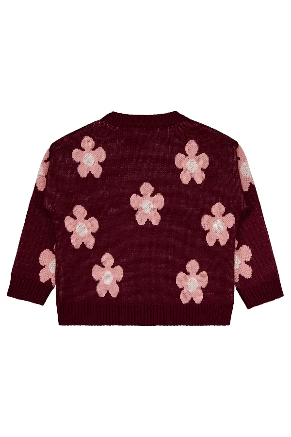 Girl's Sweater 2-5 Years Old Burgundy - Package