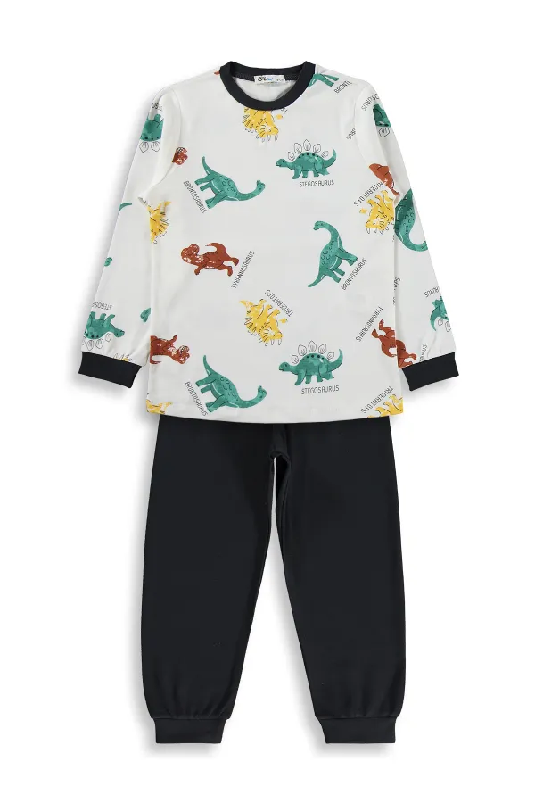 Erkek Çocuk Pijama Takımı 6-9 Yaş Füme - Paket
