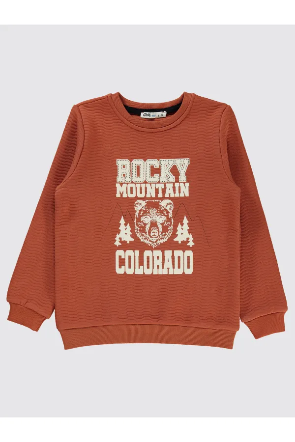 Erkek Çocuk Sweatshirt 6-9 Yaş Bakır - Paket