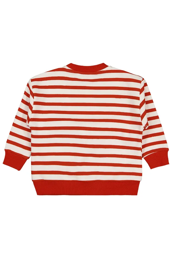 Erkek Çocuk Sweatshirt 2-5 Yaş Kiremit - Paket