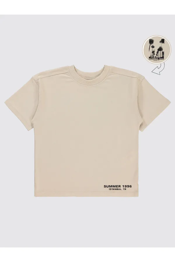 Boys T-Shirt 6-9 Years Old Stone Color - Pack